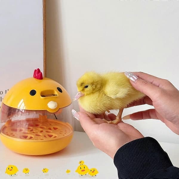 Egginkubator for ruging av egg Liten smart inkubator med konstant temperatur