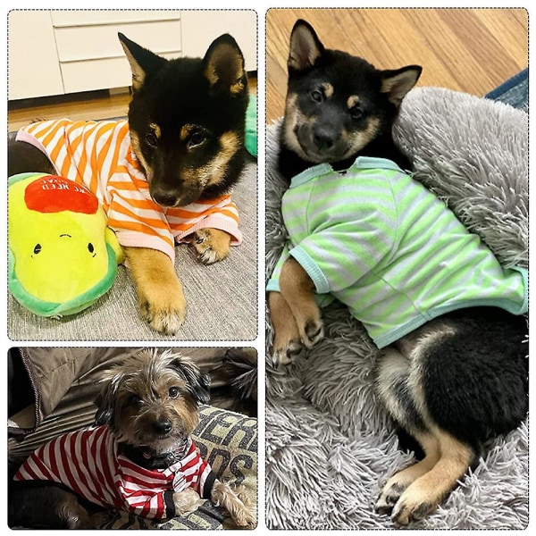 6-delt Hundestribet T-shirt Sæt - Åndbart Kæledyrstøj Til Sporty Hunde L