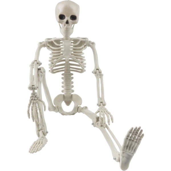 Halloween Skjeletter Poserbare Halloween Hengende Skjeletter Full Kropp Elastiske Realistiske Menneskelige Plastbein Med Bevegelige Ledd For Halloweenfest Foto 40 Cm