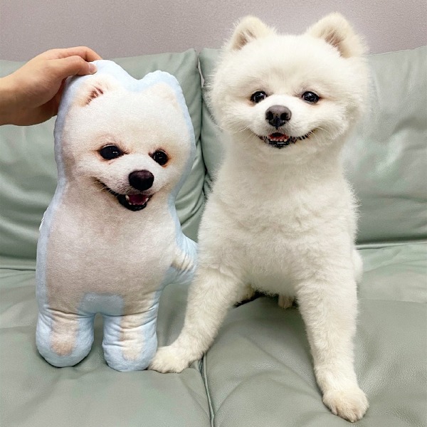 Personlig Foto DIY Husdjurskudde Leksaker Dockor Gosedjur Kudde Anpassad Hund Katt Bild Kudde Julklappar Minnesgåva Pictures of you 70cm