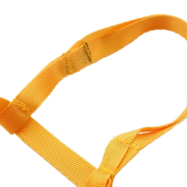 2X Sele och koppel för sällskapsfåglar, Justerbar sele och koppel för papegojor - Anti-bit träningsrep för husdjur (XL