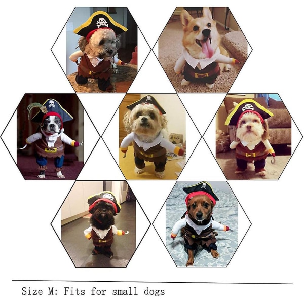 Hunden Forvandles Til Et Piratkostume Nyt Halloween Kæledyrskostume xl