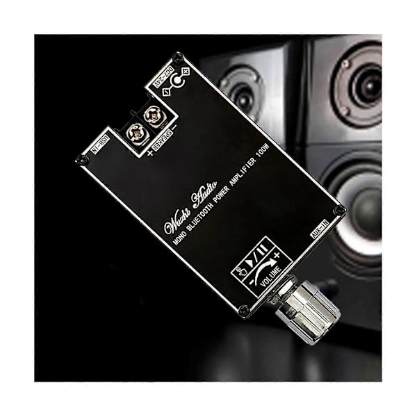 Mono 100W Bluetooth Ljudförstärkarkort med TWS Box Funktion TPA3116D2 BT5.1 Stereo Ljudmodul