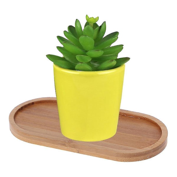 Oval Bambusbrett Naturlig Dessertkoppbrett Liten Treostplate x
