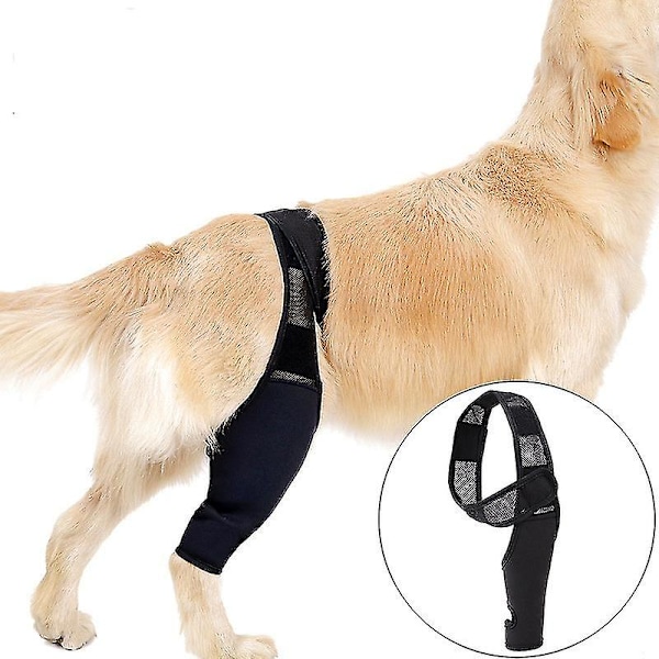 Knæstøtte til hunde ved ACL, knæskred, arthritis - Holder leddene varme - Ekstra støtte - Reducerer smerte