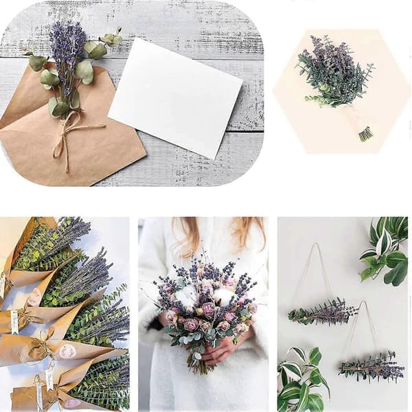15 st Torkade och Konserverade Eukalyptusstjälkar & Lavendelblommor, 43 cm Eukalyptusblad Stjälkar Duschväxt