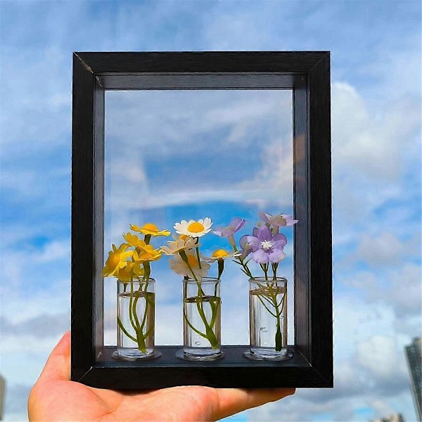 DIY Blomsterstiklinger Fotoramme 3D Fotorammer Blomsterarrangement Beholder Hydroponisk Vase til Li