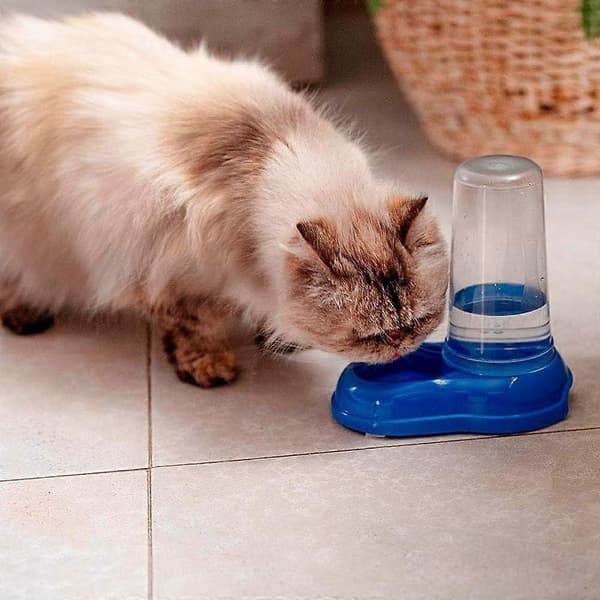 Foder- eller vanddispenser til hunde og katte, tørfoderautomat, vand 0,6 liter, blå