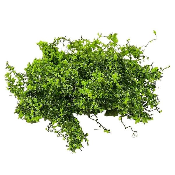 Simulering Mikro Landskap Dekorative Grønne Planter Light green