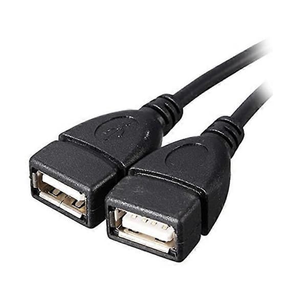 1X USB 2.0 A Han Til 2 Dobbelt Hun Jack Y Splitter Adapter Hub NY Strøm P4F0