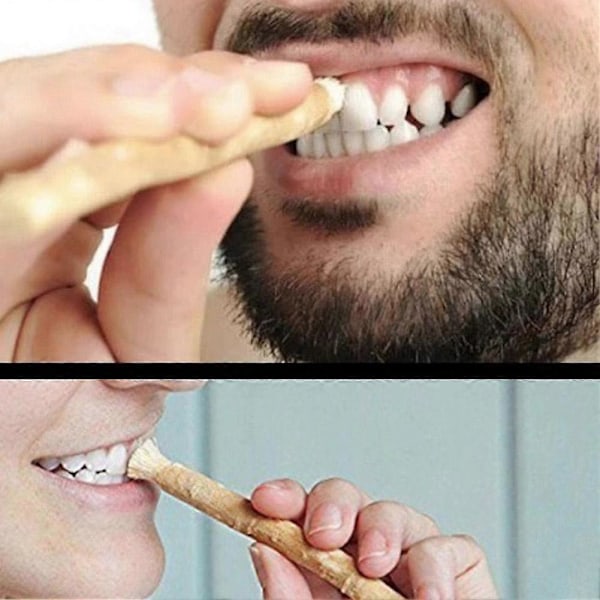 Miswak Siwak Naturlig Tandborste Misvak Traditionell Arak Miswaak Manuell Tandblekning Mjuk Rese Mellanöstern Forntida Lag
