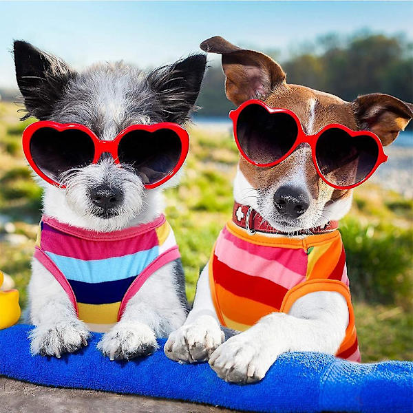 2 Stykker Hunde Regnbue Stribede Skjorter Kæledyrstøj Bløde Hvalpe Sommer T-shirts Komfortable Hunde Stribede Skjorter Åndbare S