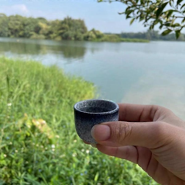 1 Sæt Udsøgt Japansk Sake Kop Sake Kande Retro Sake Sæt Japansk Retro Simpel Keramisk Sake