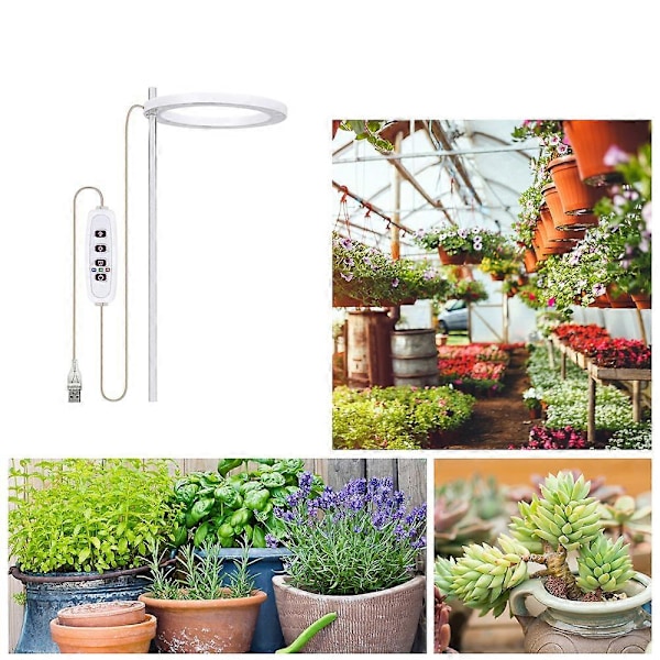LED Vekstlys Fullspektrum Phyto Vekstlampe USB Angel Ringlampe for Sukkulenter, Blomsterplanter Vekst