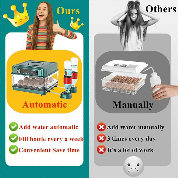 Automatisk äggkläckare med temperaturkontroll AU-kontakt