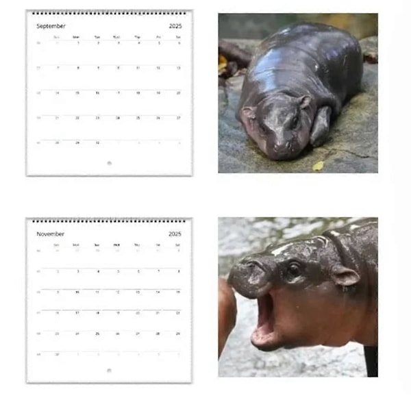 2025 MooDeng Kalender, Moodeng Kalender