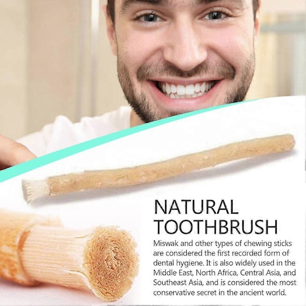 Miswak Siwak Naturlig Tandborste Misvak Traditionell Arak Miswaak Manuell Tandblekning Mjuk Rese Mellanöstern Forntida Lag