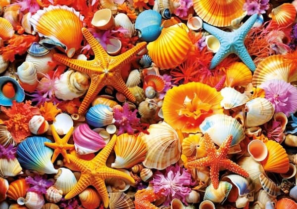 Educa Shell Collage Pussel 1000 bitar multifärg