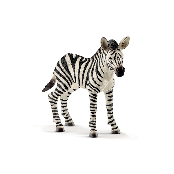 schleich® WILD LIFE Zebra Föl 14811 multifärg