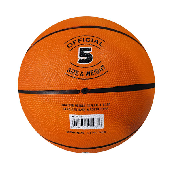 Basketboll Stl 5 multifärg