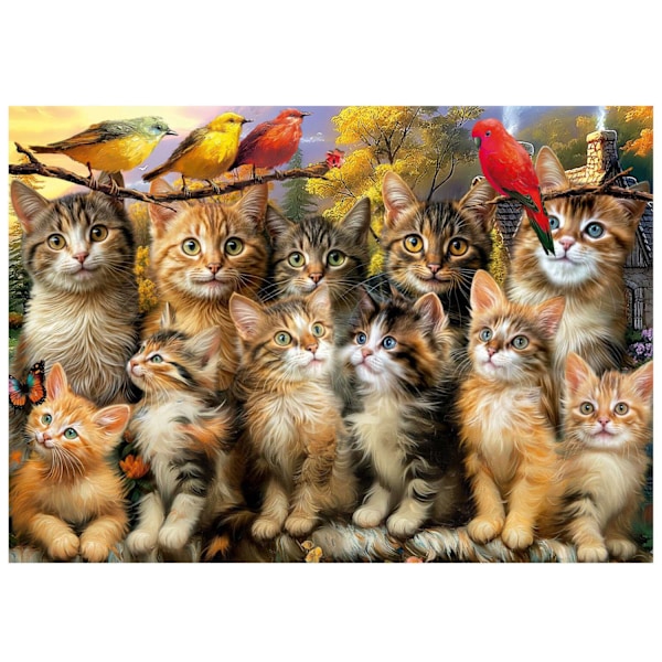 Educa Kittens And Birds Pussel 500 bitar multifärg