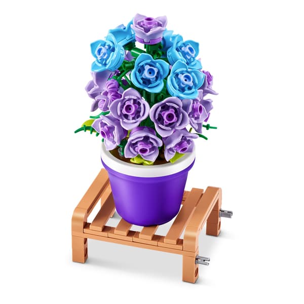 MAX Premium Garden Pot Plants Campanula multifärg