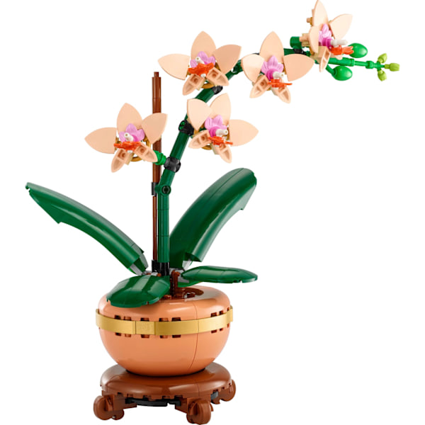 LEGO® Botanicals Miniorkidé 10343