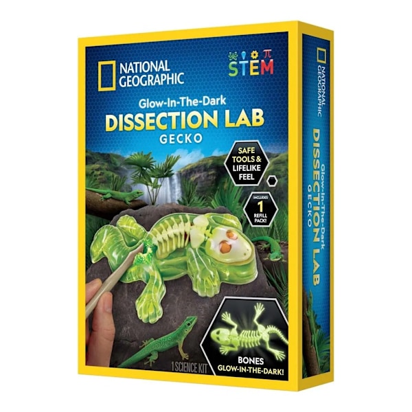 National Geographic Dissection Lab Gecko multifärg