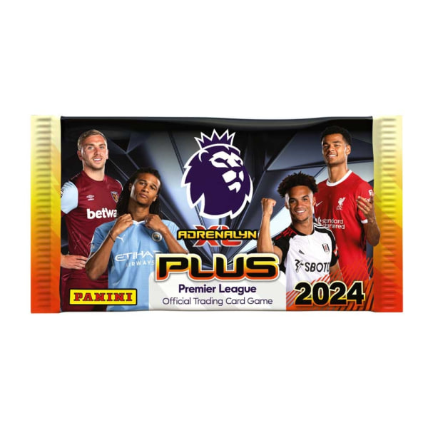 Premier League 2024 PLUS Booster multifärg
