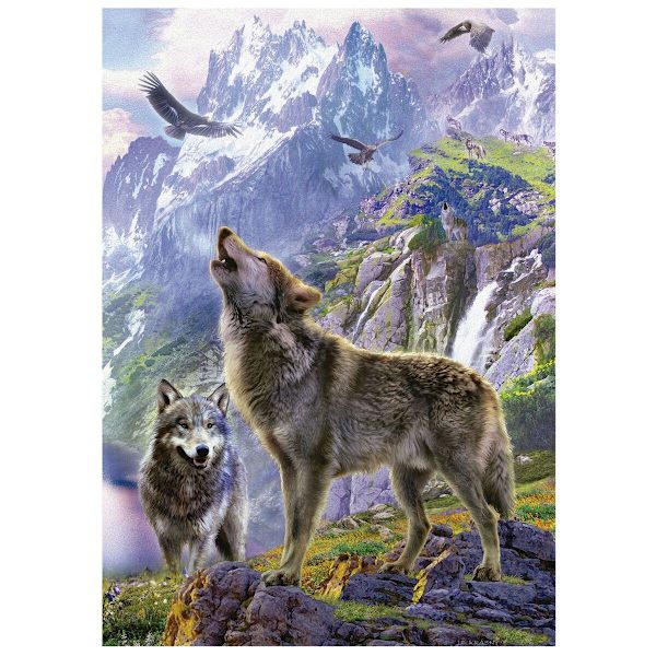 Educa Wolves In The Rocks Pussel 500 bitar multifärg