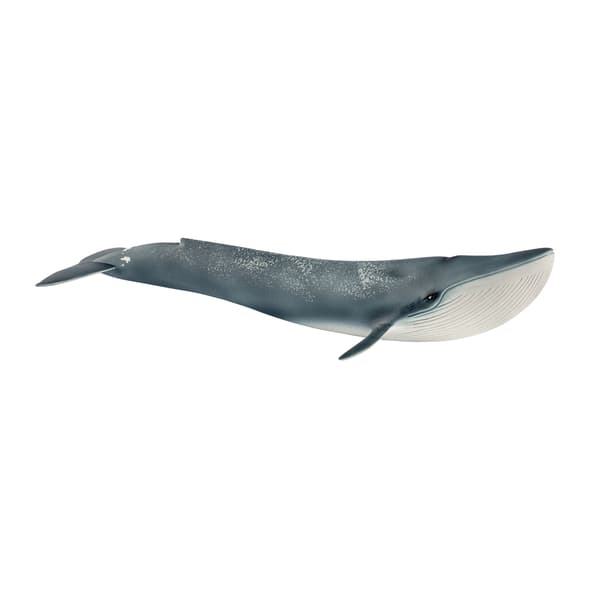 schleich® WILD LIFE Blåval 14806 multifärg