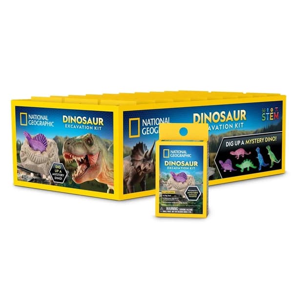 National Geographic Dinosaur Excavation Kit Mini multifärg