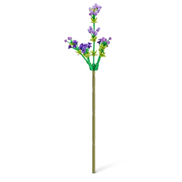 MAX Premium Garden Long Flowers Common Daisy And Lavender multifärg
