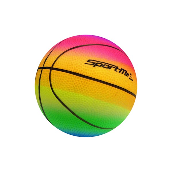 Regnbågsboll Basket Liten multifärg