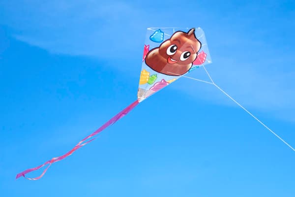 Ready 2 Fly Drake Flamingo