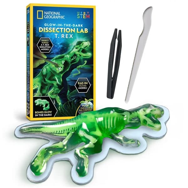 National Geographic Dissection Lab T. Rex multifärg