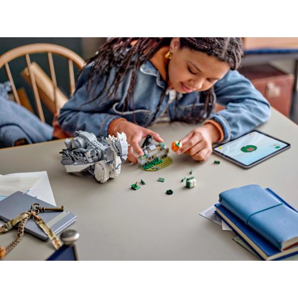 LEGO® Harry Potter™ Vingfåle 76427 multifärg