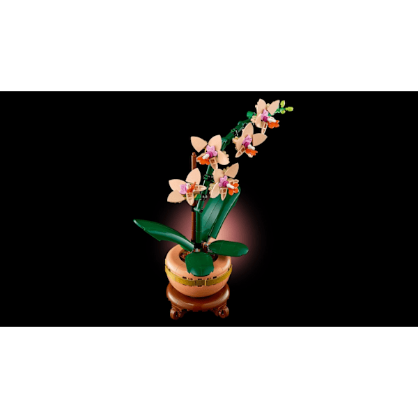 LEGO® Botanicals Miniorkidé 10343