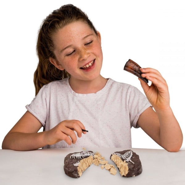 National Geographic Dino Fossil Dig Kit multifärg