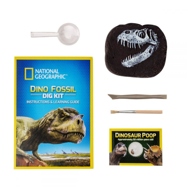 National Geographic Dino Fossil Dig Kit multifärg