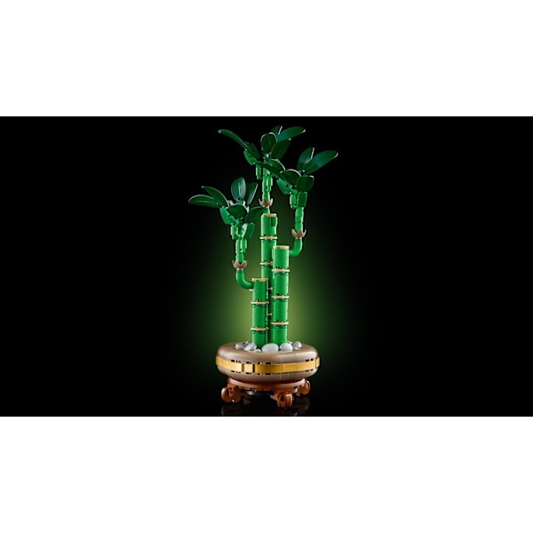 LEGO® Botanicals Bambudracena 10344
