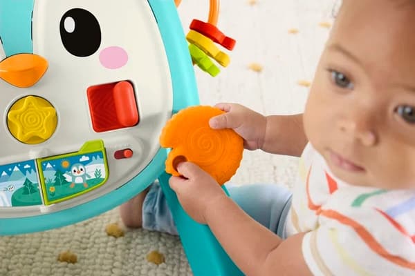 Fisher-Price Penguin Walker 2-i-1 multifärg