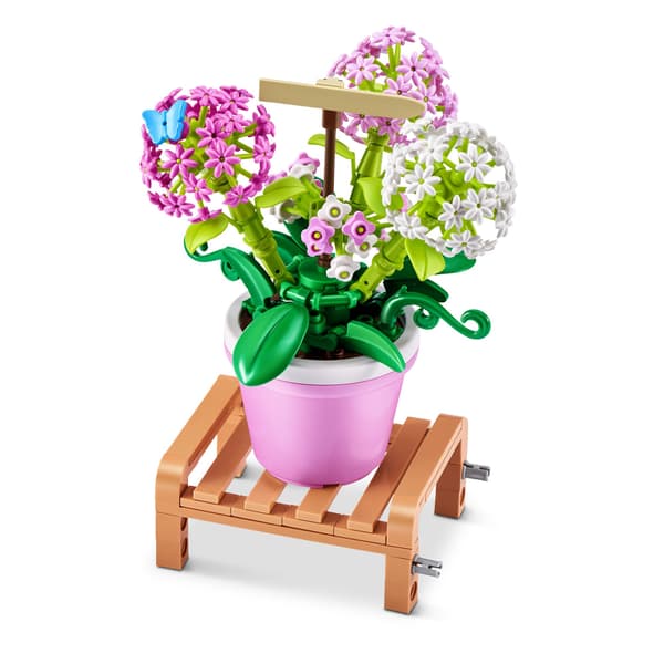 MAX Premium Garden Pot Plants Hydrangea Macrophylla multifärg
