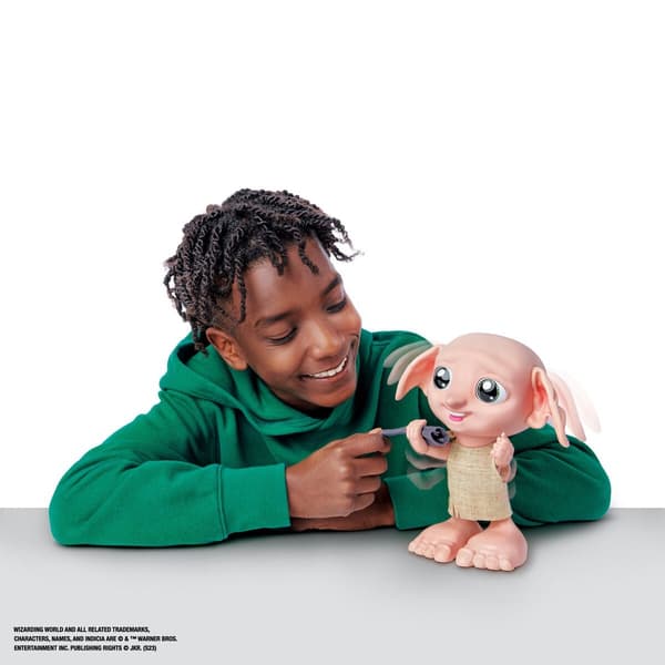 Harry Potter Magiska Dobby SE/DK multifärg