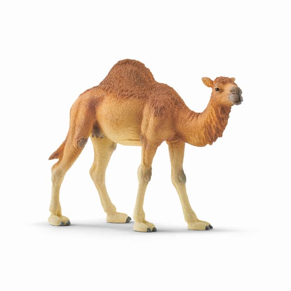 schleich® WILD LIFE Dromedar 14832 multifärg