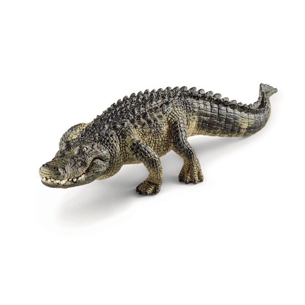 schleich® WILD LIFE Alligator 14727 multifärg