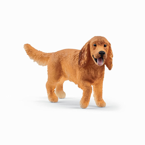 schleich® FARM WORLD Cocker spaniel 13896 multifärg