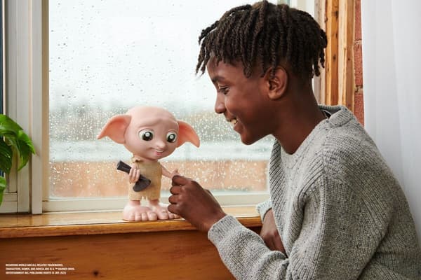Harry Potter Magiska Dobby SE/DK multifärg
