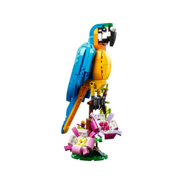 LEGO® Creator 3in1 Exotisk papegoja 31136