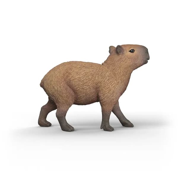 schleich® WILD LIFE Capybara 14934 multifärg